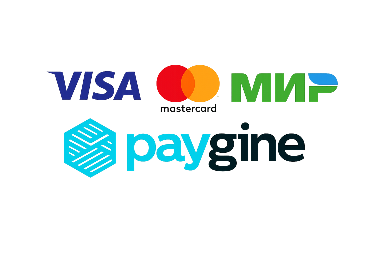 Способы оплаты: Visa, MasterCard, МИР, Paygine